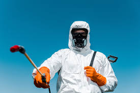 Best Bee and Wasp Removal  in Raymond, IL